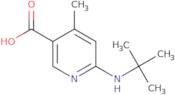 6-(tert-Butylamino)-4-methylnicotinic acid