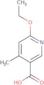 6-Ethoxy-4-methylnicotinic acid