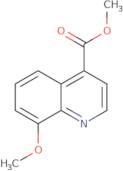 methyl 8-methoxyquinoline-4-carboxylate