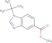 Methyl 1-tert-butylbenzoimidazole-5-carboxylate