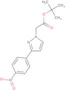 [3-(4-Nitro-phenyl)-pyrazol-1-yl]-acetic acid tert-butyl ester