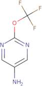 2-(Trifluoromethoxy)pyrimidin-5-amine