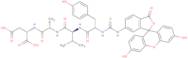 FITC-Tyr-Val-Ala-Asp-OH (Contains FITC isomer I)