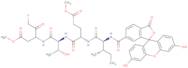 Fluorescein-6-carbonyl-Ile-Glu(OMe)-Thr-DL-Asp(OMe)-fluoromethylketone