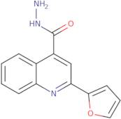 2-(2-Furyl)quinoline-4-carbohydrazide