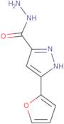 3-(2-Furyl)-1H-pyrazole-5-carbohydrazide