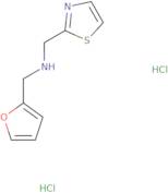 (2-Furylmethyl)(1,3-thiazol-2-ylmethyl)amine dihydrochloride