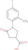 1-(4-Fluoro-2-methylphenyl)-5-oxopyrrolidine-3-carboxylic acid