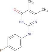 2-[(4-Fluorophenyl)amino]-5,6-dimethylpyrimidin-4(3H)-one