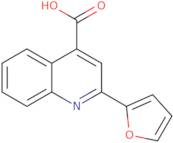 2-Furan-2-yl-quinoline-4-carboxylic acid