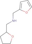 (2-Furylmethyl)(tetrahydrofuran-2-ylmethyl)amine