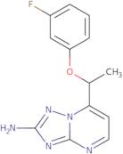 7-[1-(3-Fluorophenoxy)ethyl][1,2,4]triazolo[1,5-a]pyrimidin-2-amine