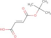 Fumaric Acid tert-Butyl Ester