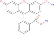 Fluorescein disodium