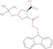 Fmoc-O-tert-butyl-L-trans-4-hydroxyproline