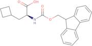 Fmoc-beta-cyclobutyl-L-alanine