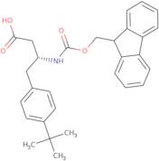 Fmoc-(R)-3-amino-4-(4-tertbutylphenyl)butyric acid