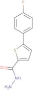 5-(4-Fluorophenyl)thiophene-2-carbohydrazide