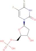 5-Fluoro-4-Thio-2'-Deoxyuridylate