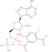 3'-O-(5-Fluoro-2,4-Dinitrophenyl)Adp Ether