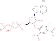 3'-O-(5-Fluoro-2,4-Dinitrophenyl)Atp Ether