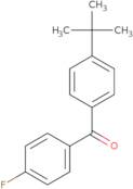 (4-Fluorophenyl)[4-(2-Methyl-2-Propanyl)Phenyl]Methanone