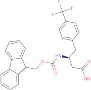 Fmoc-(S)-3-Amino-4-(4-Trifluoromethyl-Phenyl)-Butyric Acid