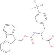 Fmoc-(R)-3-Amino-4-(4-Trifluoromethyl-Phenyl)-Butyric Acid