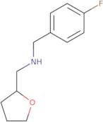 1-(4-Fluorophenyl)-N-(Tetrahydro-2-Furanylmethyl)Methanamine