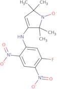 3-(5-Fluoro-2,4-dinitroanilino)-1-oxyl-2,2,5,5-tetramethyl-3-pyrrolidine