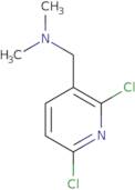 [(2,6-Dichloropyridin-3-yl)methyl]dimethylamine