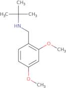 tert-Butyl[(2,4-dimethoxyphenyl)methyl]amine