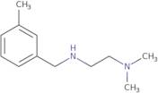 [2-(Dimethylamino)ethyl][(3-methylphenyl)methyl]amine
