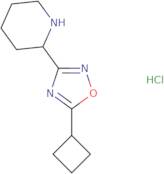 2-(5-Cyclobutyl-1,2,4-oxadiazol-3-yl)piperidine hydrochloride