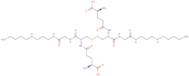 N1-Glutathionyl-spermidine disulfide [