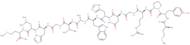 GRP (14-27) (human, porcine, canine) trifluoroacetate salt