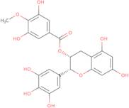 (-)-Gallocatechin 3-(4''-O-methyl)gallate