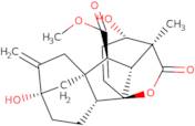 Gibberellic acid methyl ester