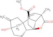 Gibberellin A5 methyl ester