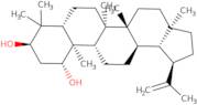 Glochidiol