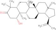 Glochidonol