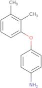 4-(2,3-Dimethylphenoxy)aniline