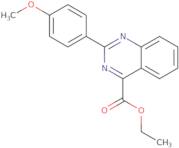 N-Hydroxy-2-thiophen-3-yl-acetamidine