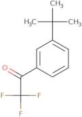 1-(3-tert-Butylphenyl)-2,2,2-trifluoroethan-1-one