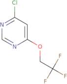 4-Chloro-6-(2,2,2-trifluoroethoxy)pyrimidine