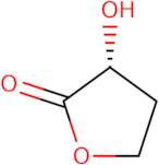 (R)-(+)-2-Hydroxy-gamma-butyrolactone