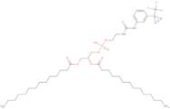 [(2R)-1-[Hydroxy-[2-[[3-[3-(Trifluoromethyl)Diazirin-3-Yl]Phenyl]Carbamothioylamino]Ethoxy]Phosp...