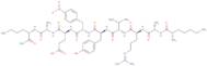 HIV Protease Substrate VII