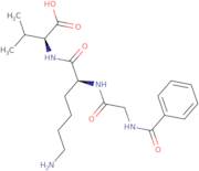 Hippuryl-Lys-Val-OH