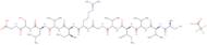 HCV NS4A Protein (22-33) (FDA strain) trifluoroacetate salt